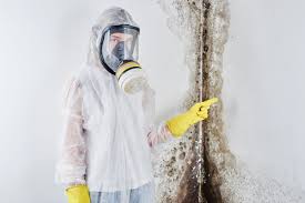 Best Forensic Mold Investigation  in Independence, OR